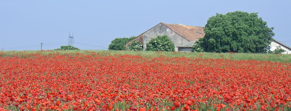 Studi e analisi di supporto alla pianificazione territoriale e urbanistica | Reti ecologiche