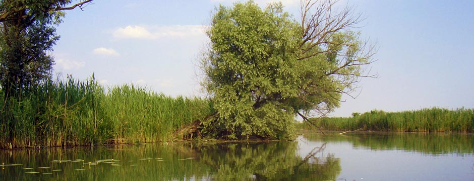 Pianificazione di aree protette e siti Natura 2000