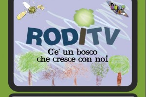 RODITV