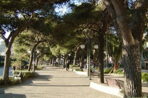 Censimento del verde pubblico del Comune di Arenzano