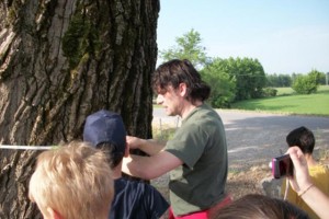 I Grandi alberi di noi piccoli