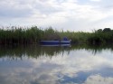 Piano di Gestione della Riserva Naturale “Valli del Mincio” 