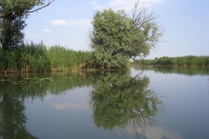 Piano di Gestione della Riserva Naturale “Valli del Mincio”